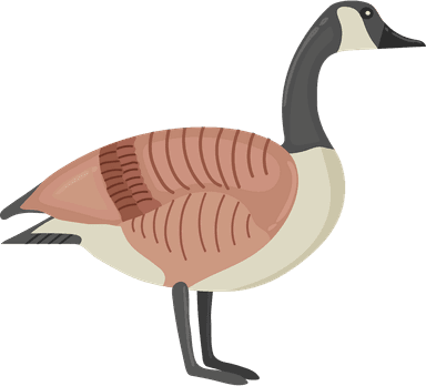 Waterloo Goose